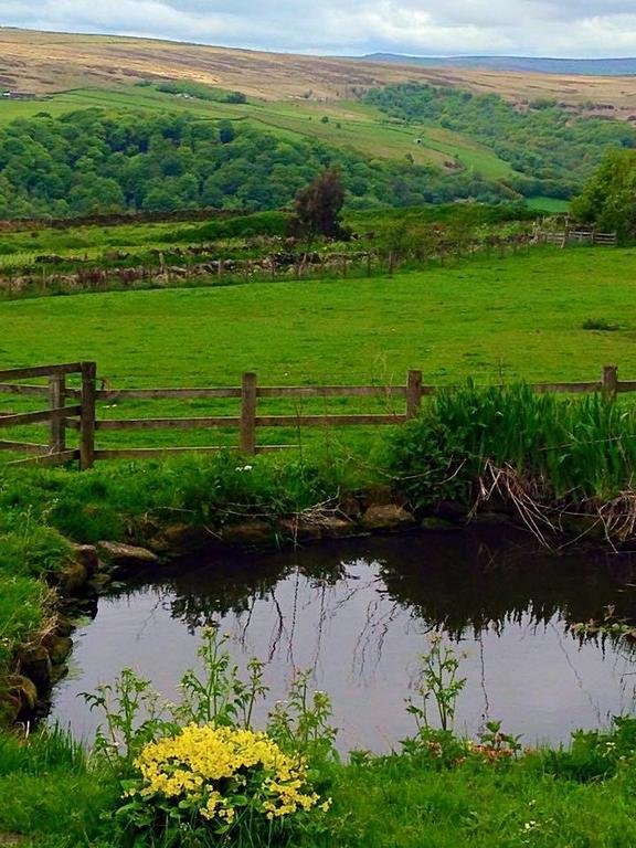 Far Moorside Farm B&B Hebden Bridge Eksteriør billede